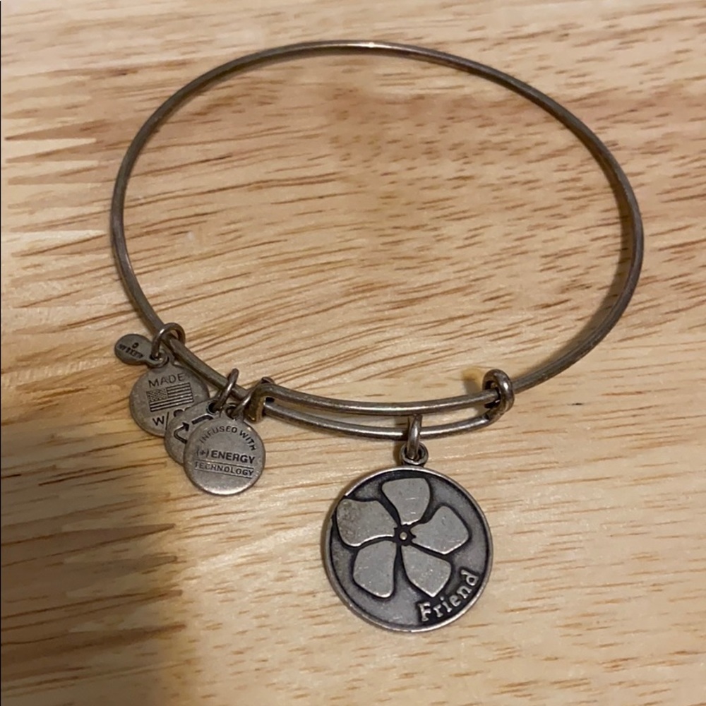 Friend Alex and ani
